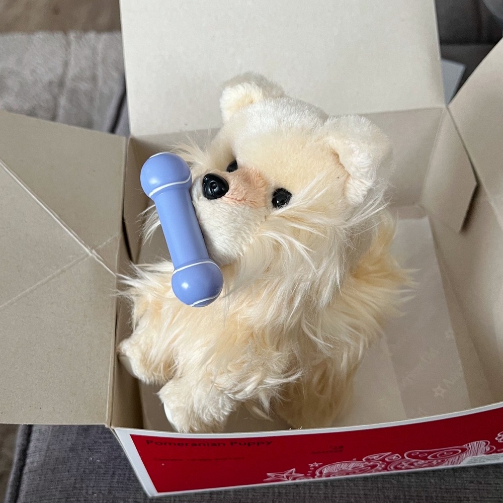 American Girl Pomeranian Puppy